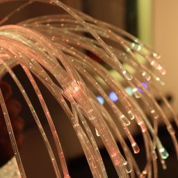Fibre Optics | Multi Sensory | Causeway Sensory