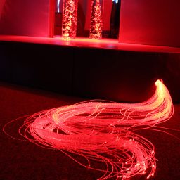 Fibre Optics | Multi Sensory | Causeway Sensory