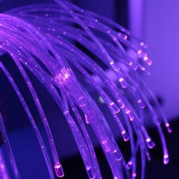 Fibre Optics | Multi Sensory | Causeway Sensory