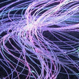 Fibre Optics | Multi Sensory | Causeway Sensory