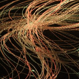 Fibre Optics | Multi Sensory | Causeway Sensory