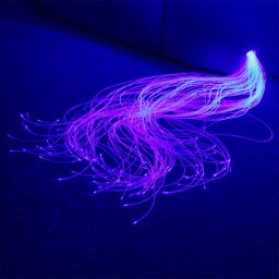 Fibre Optics | Multi Sensory | Causeway Sensory