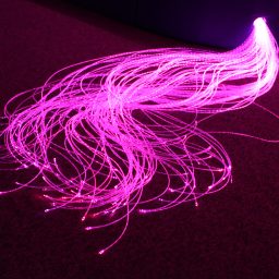 Fibre Optics | Multi Sensory | Causeway Sensory