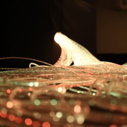 Fibre Optics | Multi Sensory | Causeway Sensory