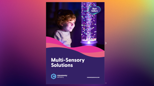 https://www.causewaysensory.com/content/uploads/2024/10/screenshot-2024-10-30-161632.png